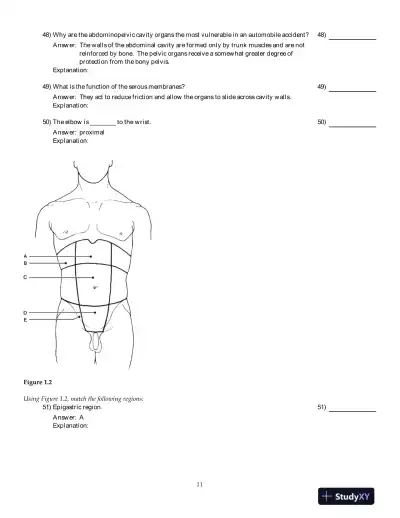 Human Anatomy And Physiology, 8th Edition Test Bank - Page 12 preview image