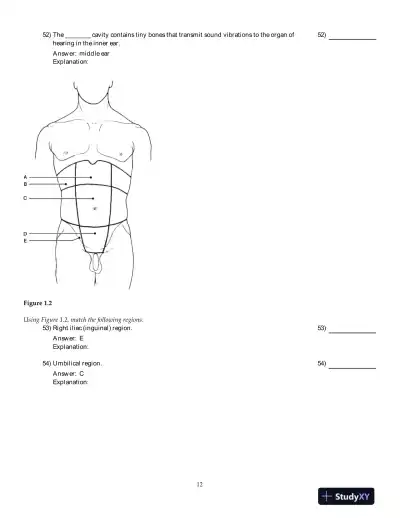Human Anatomy And Physiology, 8th Edition Test Bank - Page 13 preview image
