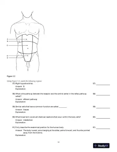 Human Anatomy And Physiology, 8th Edition Test Bank - Page 15 preview image