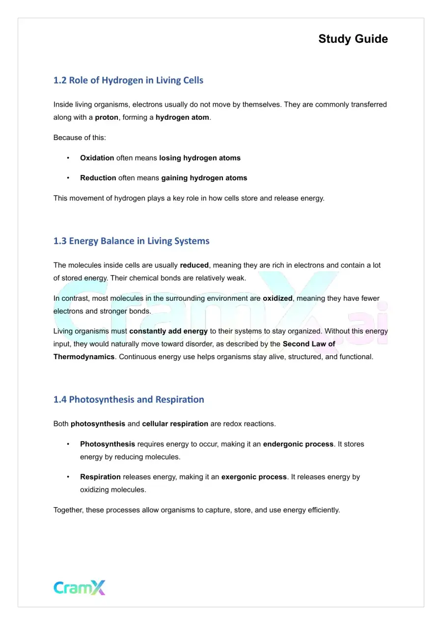 Plant Biology - Energy and Plant Metabolism, page 2