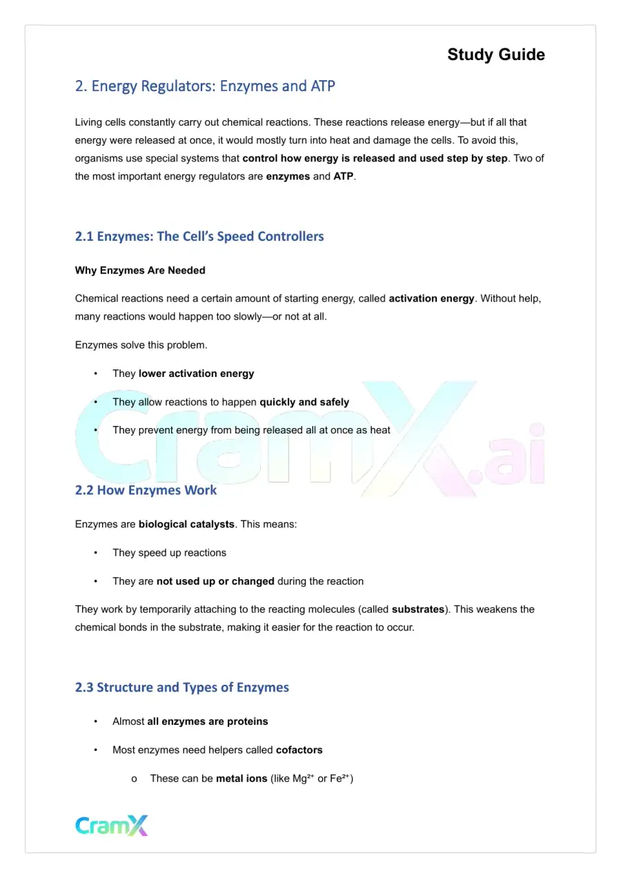 Plant Biology - Energy and Plant Metabolism, page 3