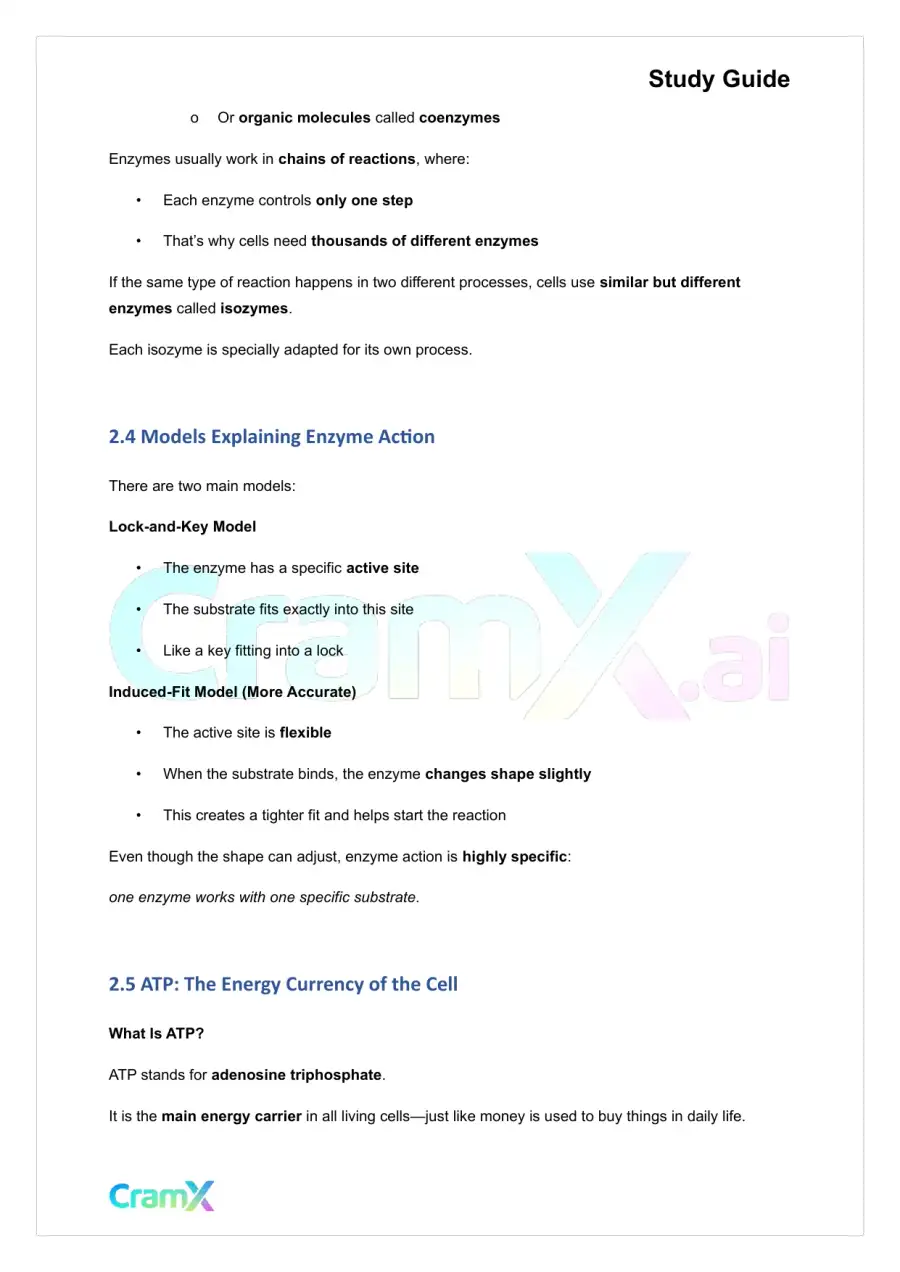 Plant Biology - Energy and Plant Metabolism, page 4