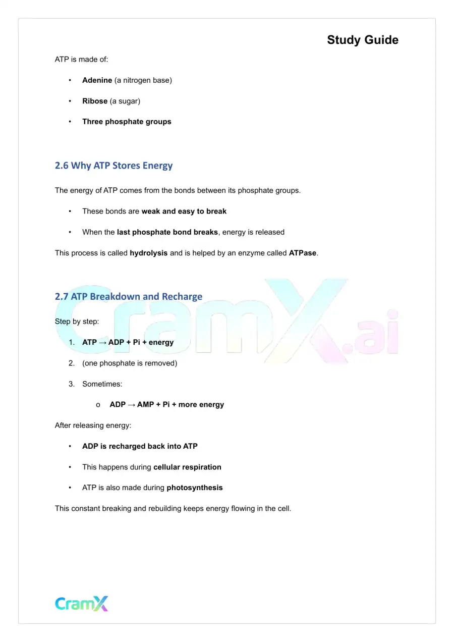 Plant Biology - Energy and Plant Metabolism, page 5