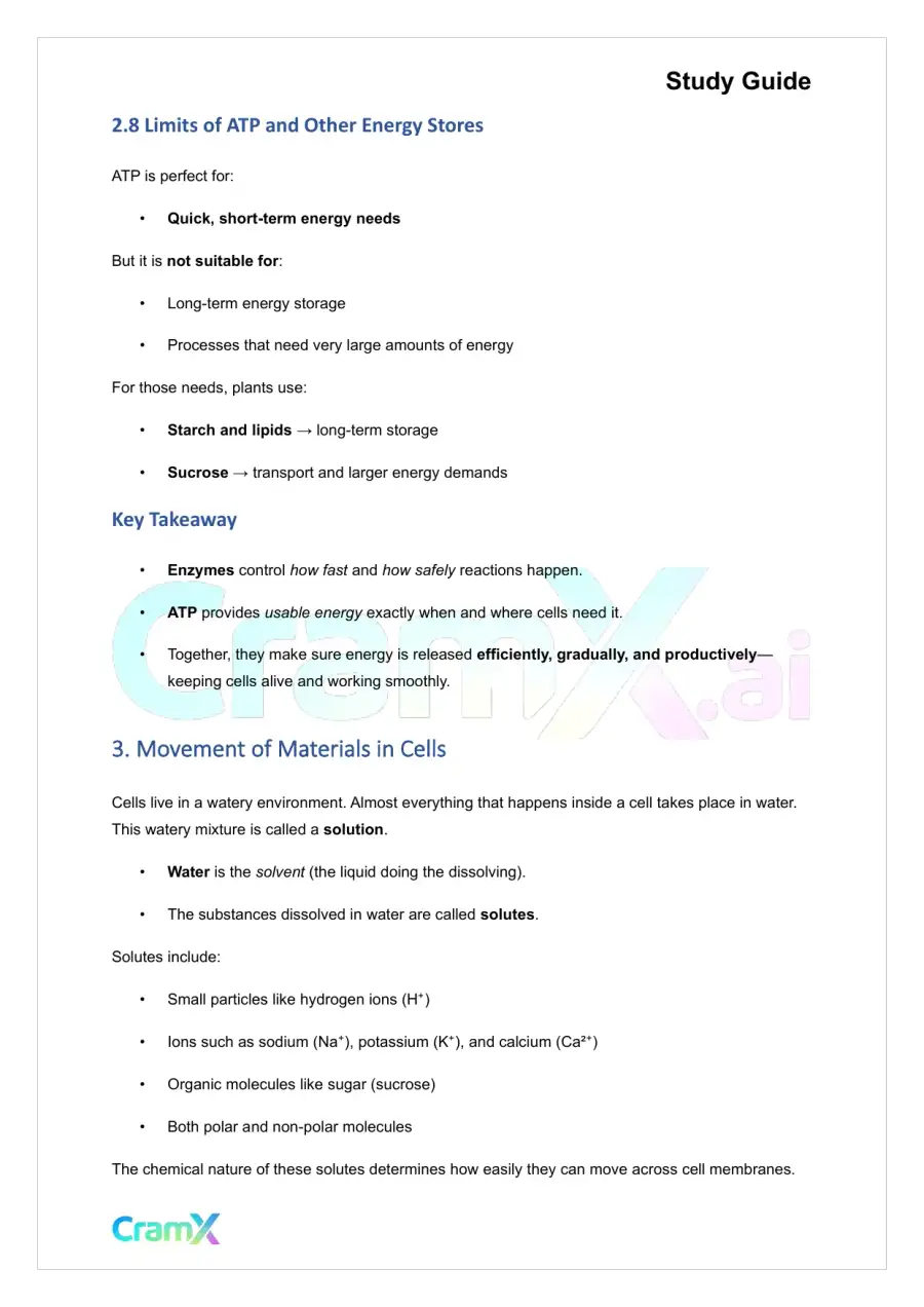 Plant Biology - Energy and Plant Metabolism, page 6