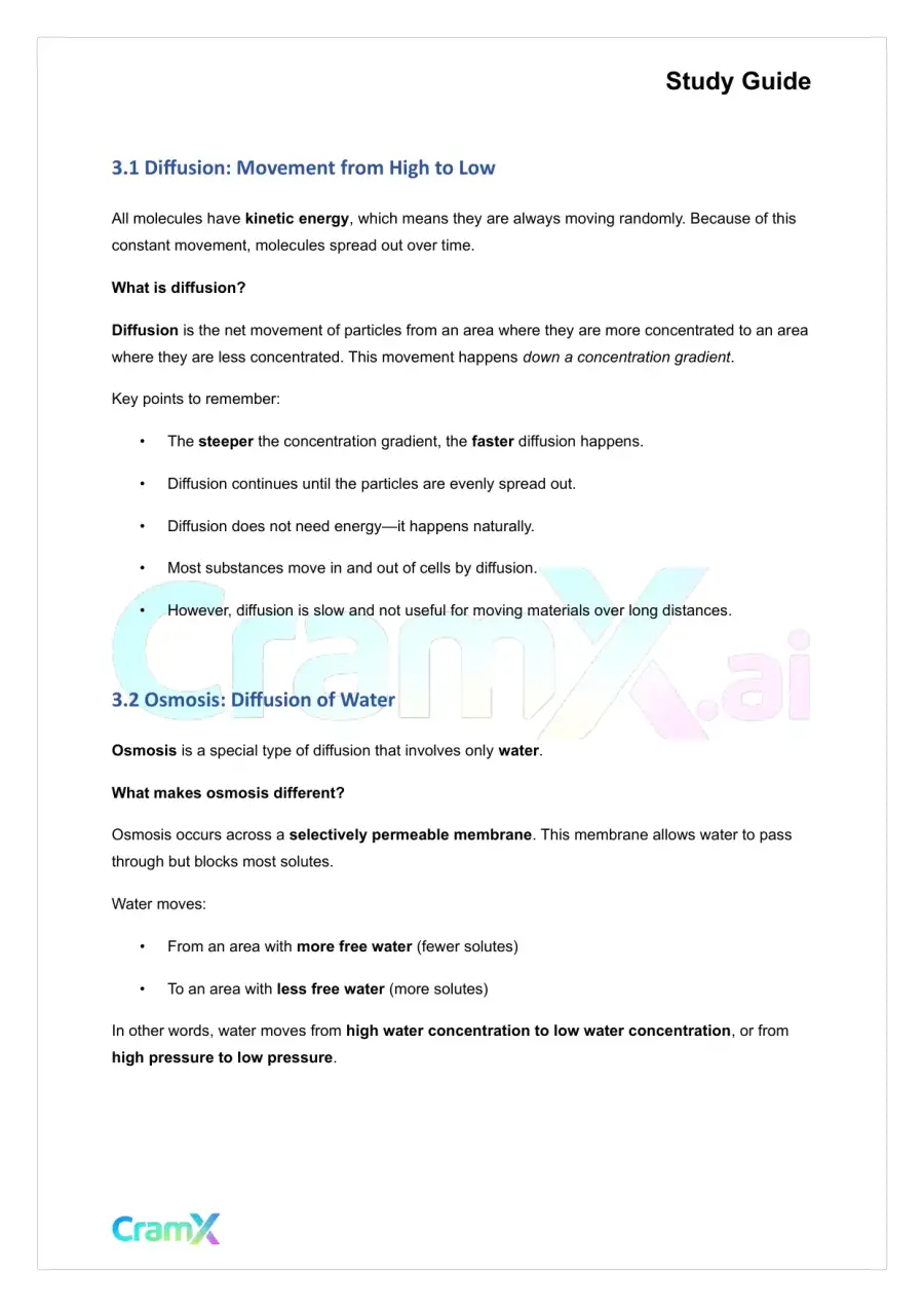 Plant Biology - Energy and Plant Metabolism, page 7