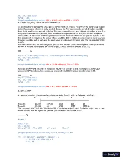 Capital Budgeting And Project Evaluation: NPV, IRR, MIRR, And Ethical Considerations - Page 3 preview image