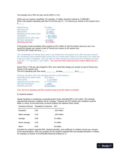Capital Budgeting And Project Evaluation: NPV, IRR, MIRR, And Ethical Considerations - Page 5 preview image