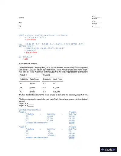 Capital Budgeting And Project Evaluation: NPV, IRR, MIRR, And Ethical Considerations - Page 6 preview image