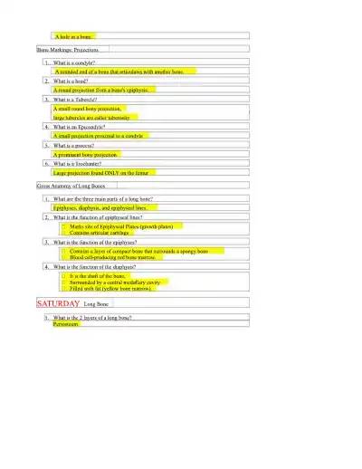 Practice test Lec 8 and 9 - Page 3 preview image