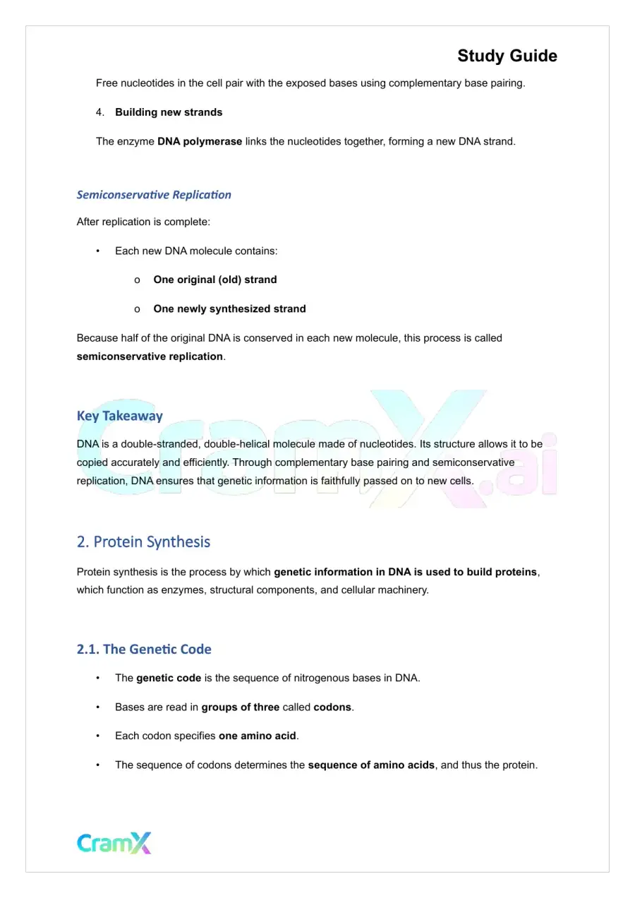 Microbiology - DNA and Gene Expression, page 3