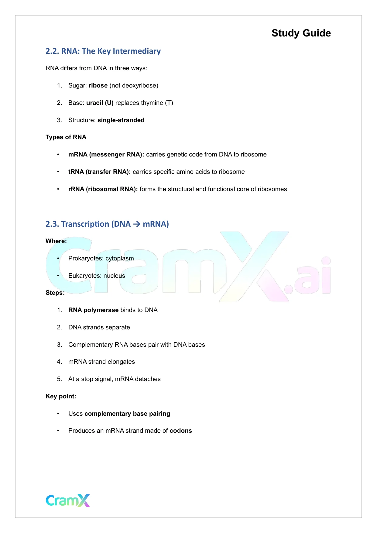 Microbiology - DNA and Gene Expression - Page 4 preview image