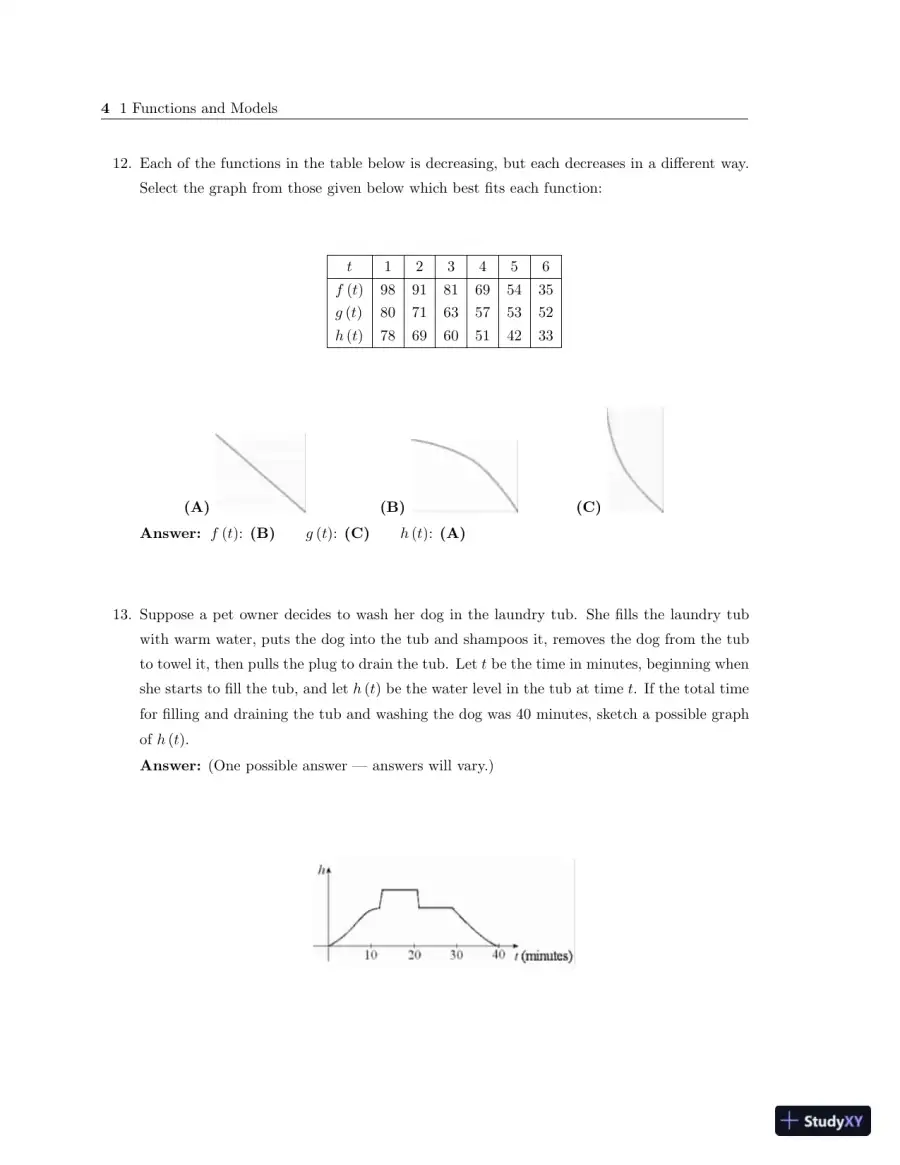 Test Bank for Calculus: Concepts and Contexts, Enhanced 4th Edition, page 12