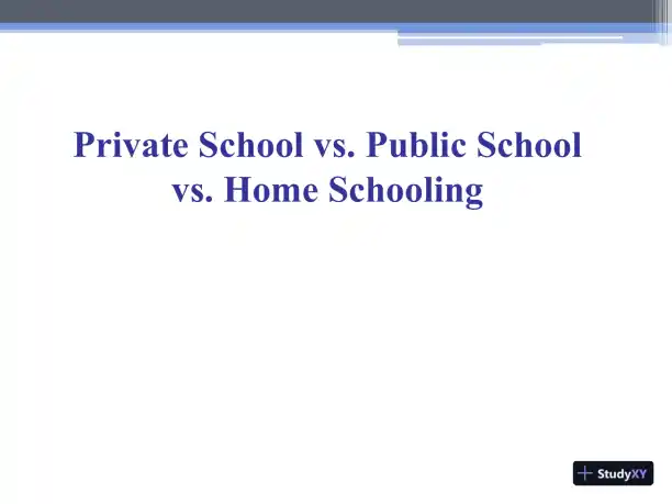 Private School Vs. Public School Vs. Home Schooling - Page 1 preview image