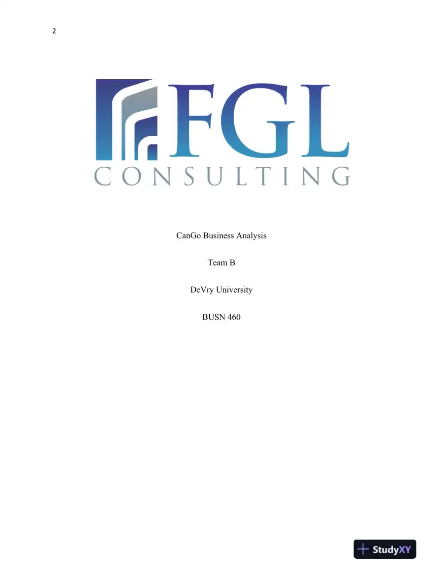 CanGo Business Strategy and Market Expansion Analysis, page 3