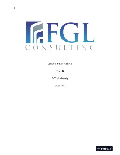 CanGo Business Strategy and Market Expansion Analysis - Page 3 preview image