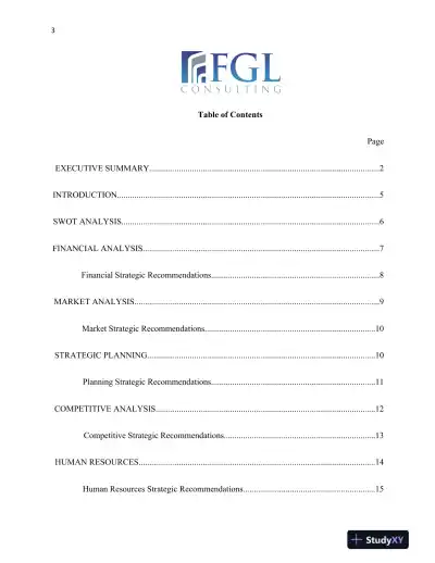 CanGo Business Strategy and Market Expansion Analysis - Page 4 preview image