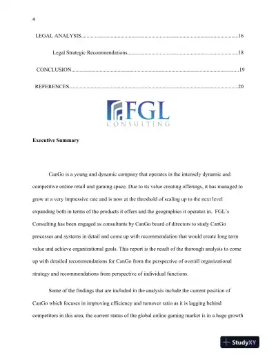 CanGo Business Strategy and Market Expansion Analysis - Page 5 preview image