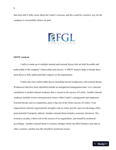 CanGo Business Strategy and Market Expansion Analysis - Page 7 preview image