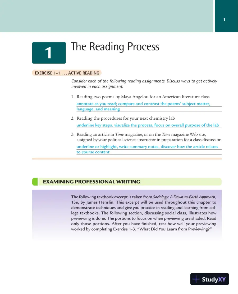 Solution Manual for Reading and Writing About Contemporary Issues, 3rd Edition, page 3