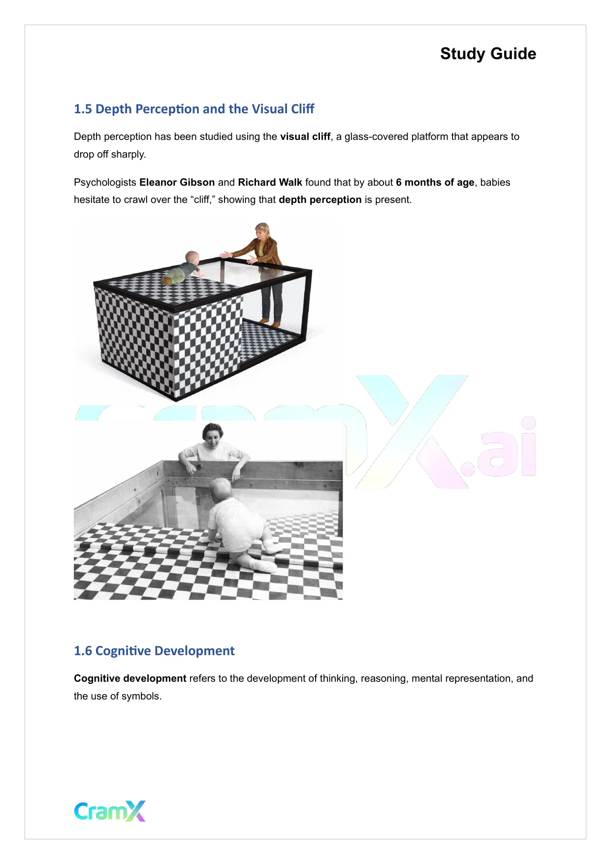 Psychology - Developmental Psychology Age 0–13 - Page 3 preview image