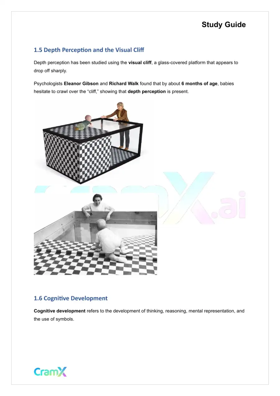 Psychology - Developmental Psychology Age 0–13, page 3