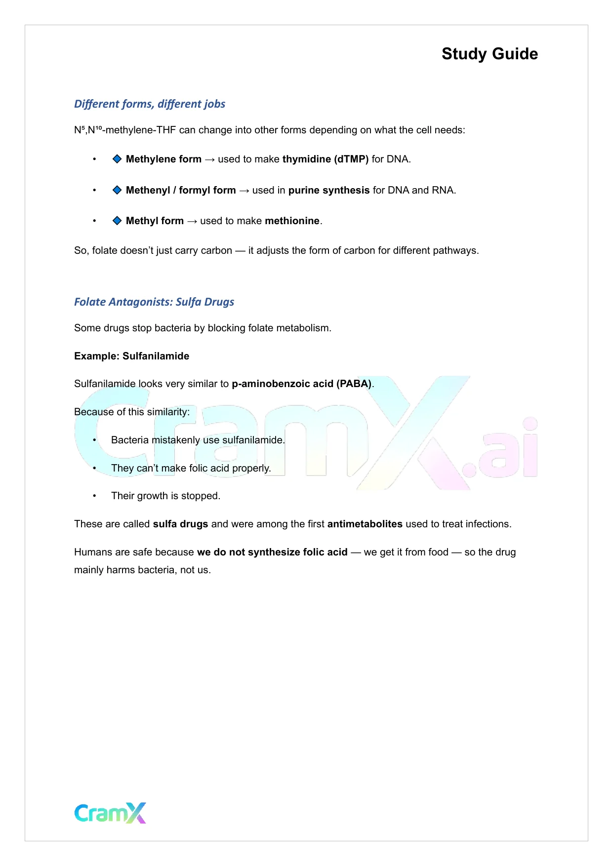 Biochemistry-II - Amino Acid Metabolism Carbon - Page 4 preview image