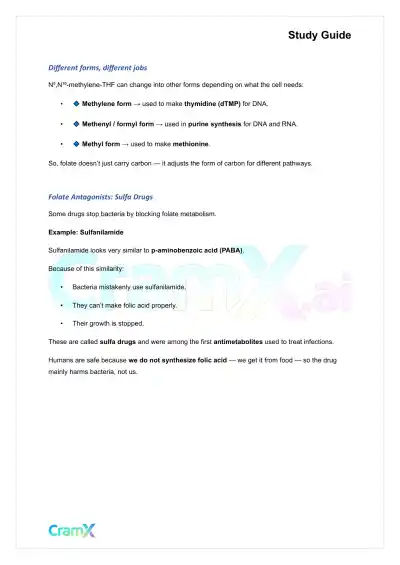 Biochemistry-II - Amino Acid Metabolism Carbon - Page 4 preview image