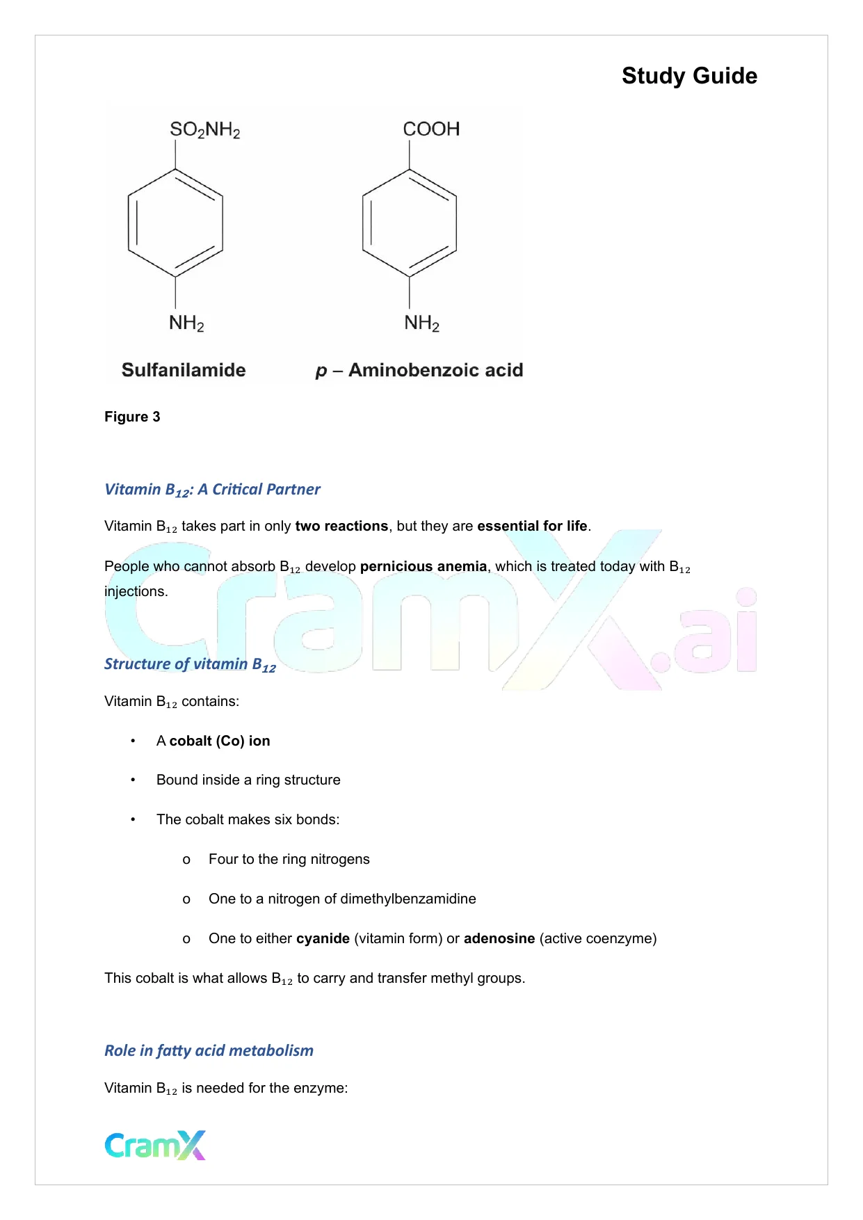 Biochemistry-II - Amino Acid Metabolism Carbon - Page 5 preview image