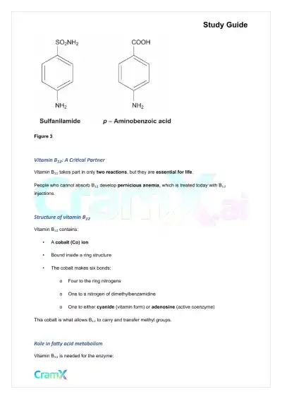 Biochemistry-II - Amino Acid Metabolism Carbon - Page 5 preview image