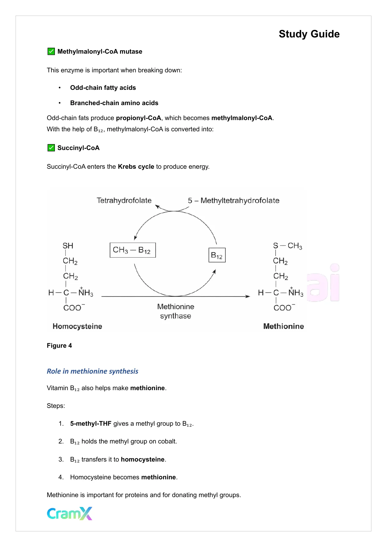 Biochemistry-II - Amino Acid Metabolism Carbon - Page 6 preview image