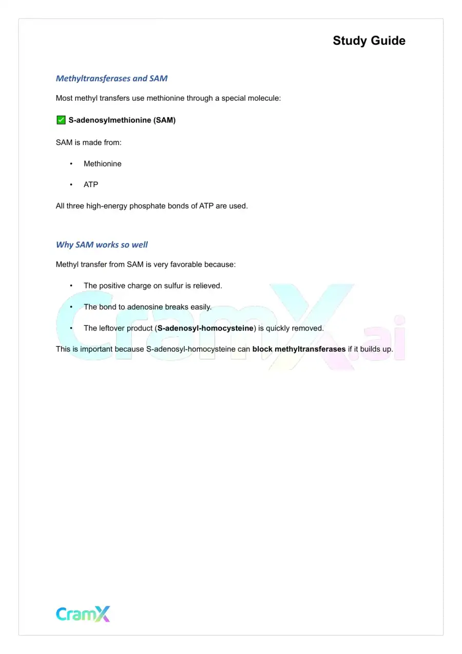 Biochemistry-II - Amino Acid Metabolism Carbon, page 7