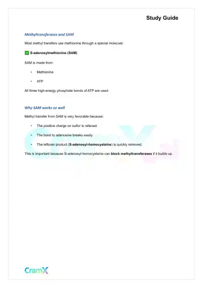 Biochemistry-II - Amino Acid Metabolism Carbon - Page 7 preview image