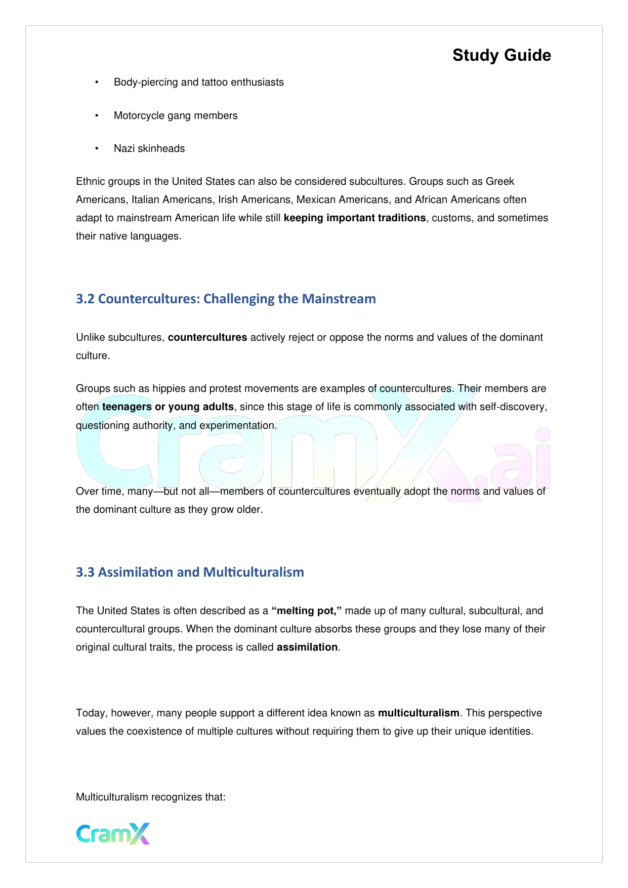 Sociology - Culture and Societies - Page 6 preview image