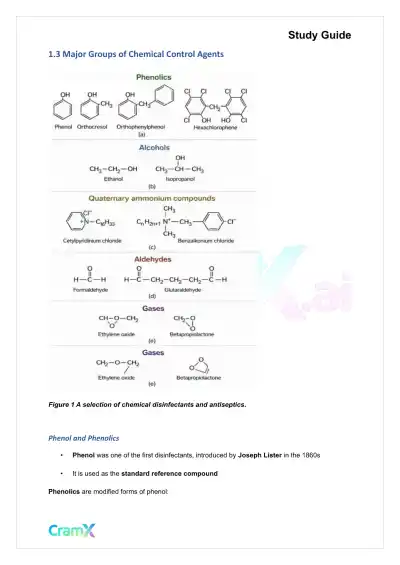 Microbiology - Control of Microbial Growth - Page 3 preview image