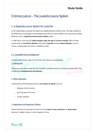 Criminal Justice - The Juvenile Justice System - Page 1 preview image