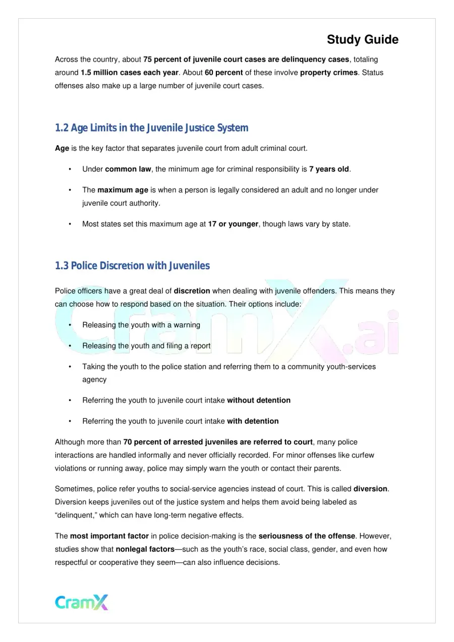 Criminal Justice - The Juvenile Justice System, page 2