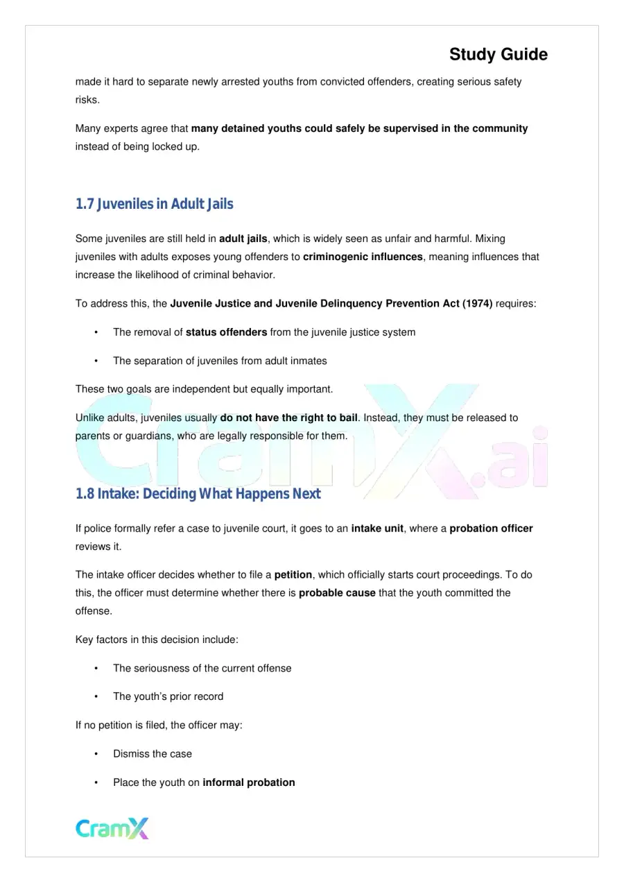 Criminal Justice - The Juvenile Justice System, page 4