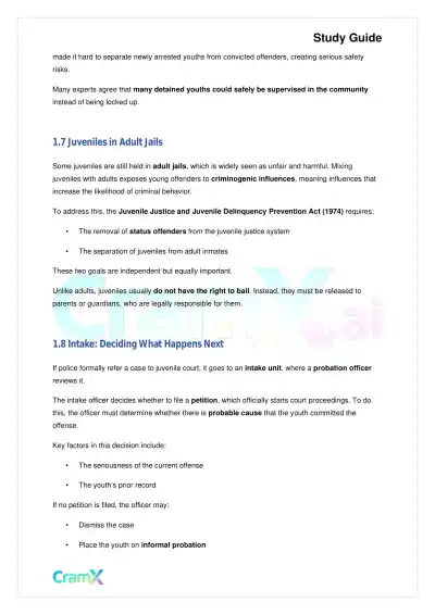 Criminal Justice - The Juvenile Justice System - Page 4 preview image