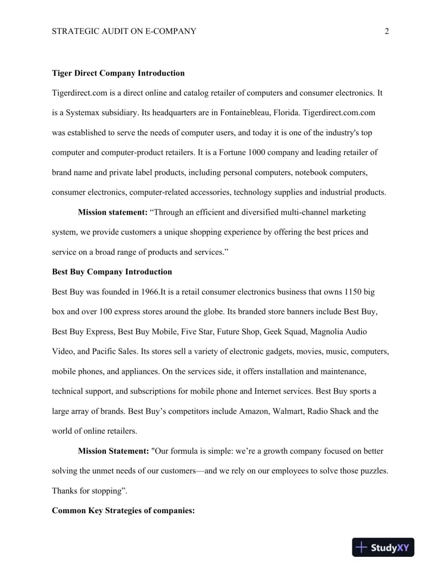 Strategic Audit on e-company Tigerdirect.com.com and Best Buy, page 3