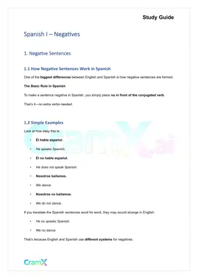 Spanish I - Negatives - Page 1 preview image