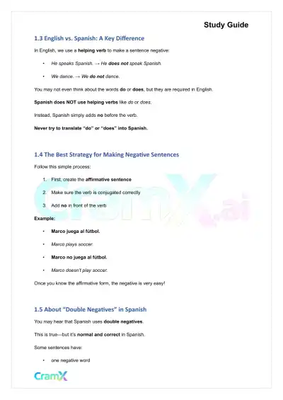 Spanish I - Negatives - Page 2 preview image