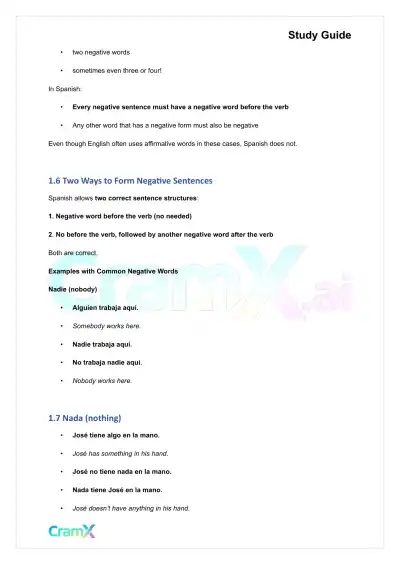 Spanish I - Negatives - Page 3 preview image