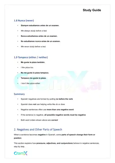 Spanish I - Negatives - Page 4 preview image