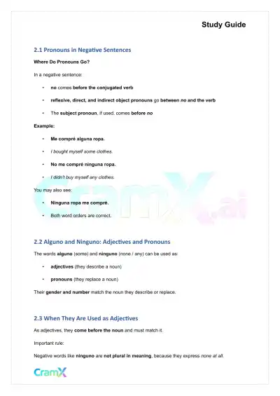 Spanish I - Negatives - Page 5 preview image