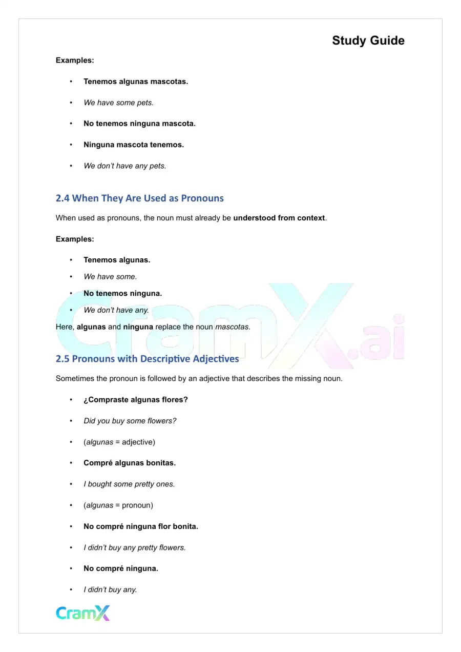 Spanish I - Negatives, page 6