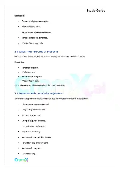 Spanish I - Negatives - Page 6 preview image