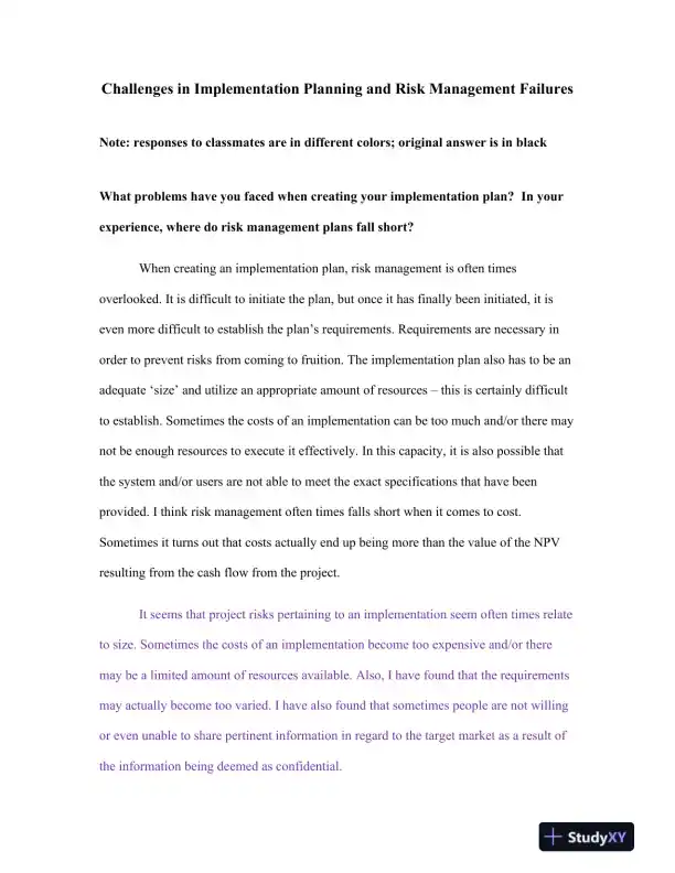 Challenges in Implementation Planning and Risk Management Failures - Page 1 preview image