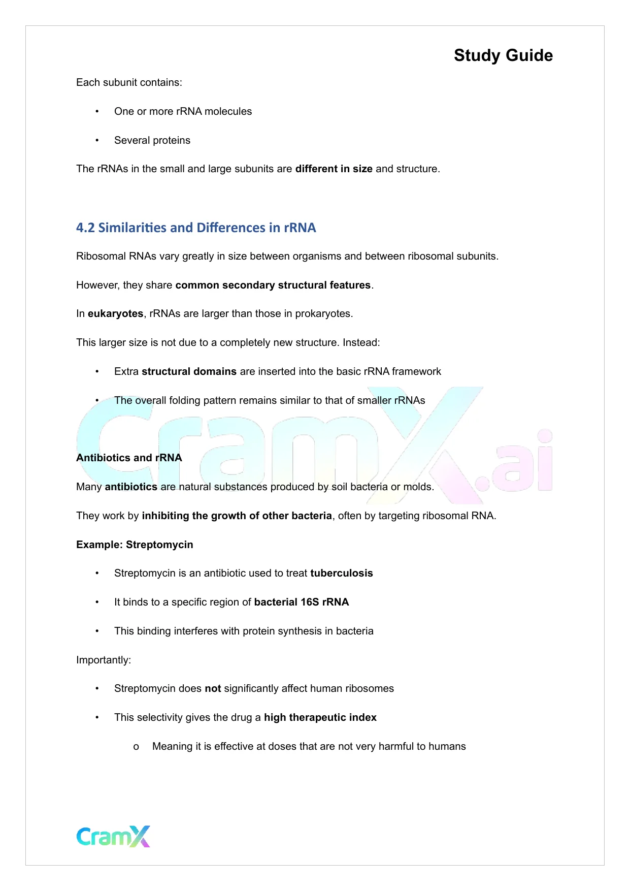 Biochemistry-II - RNA and Transcription - Page 10 preview image