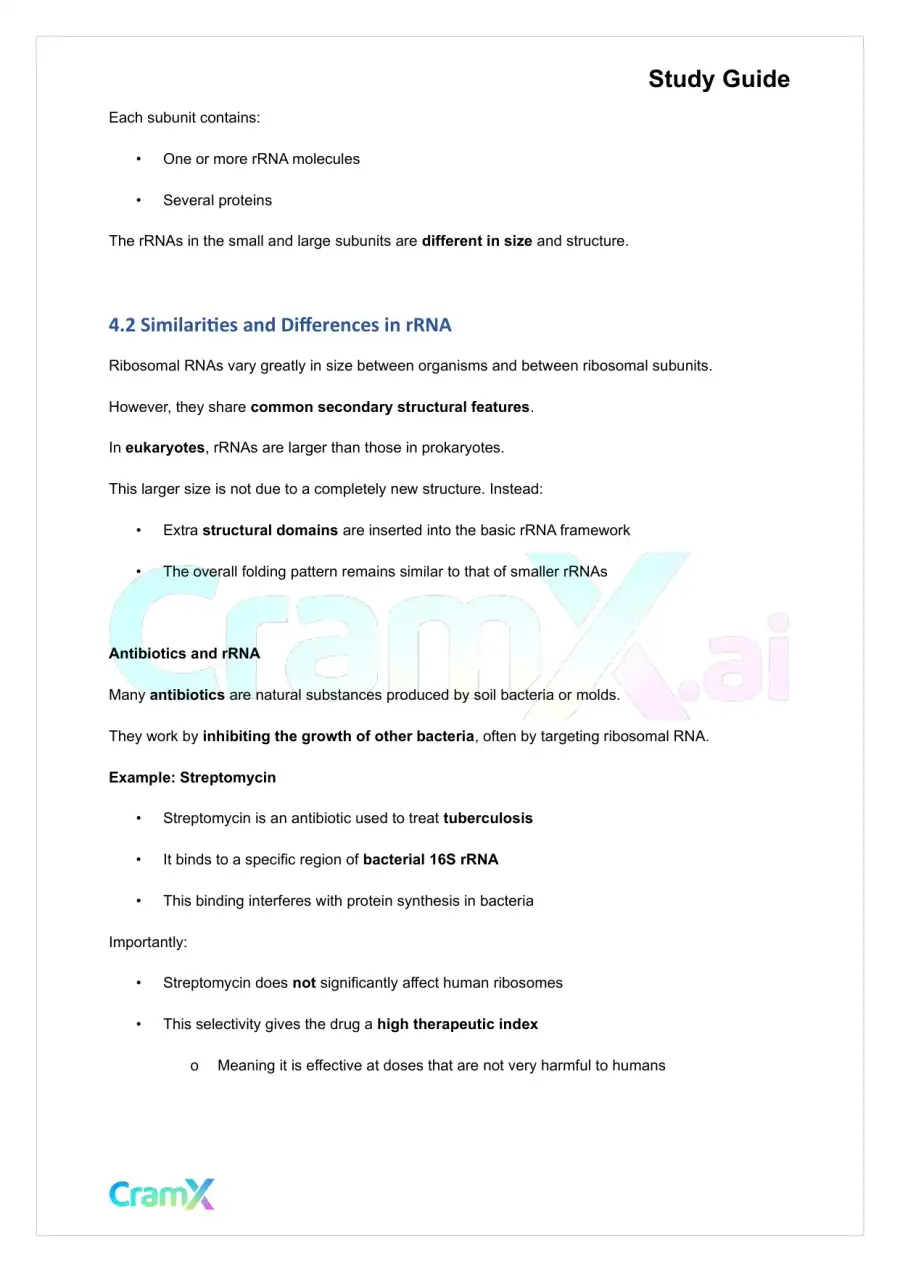 Biochemistry-II - RNA and Transcription, page 10