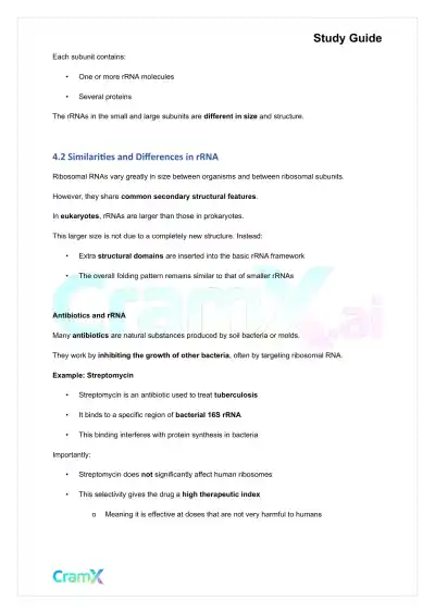 Biochemistry-II - RNA and Transcription - Page 10 preview image